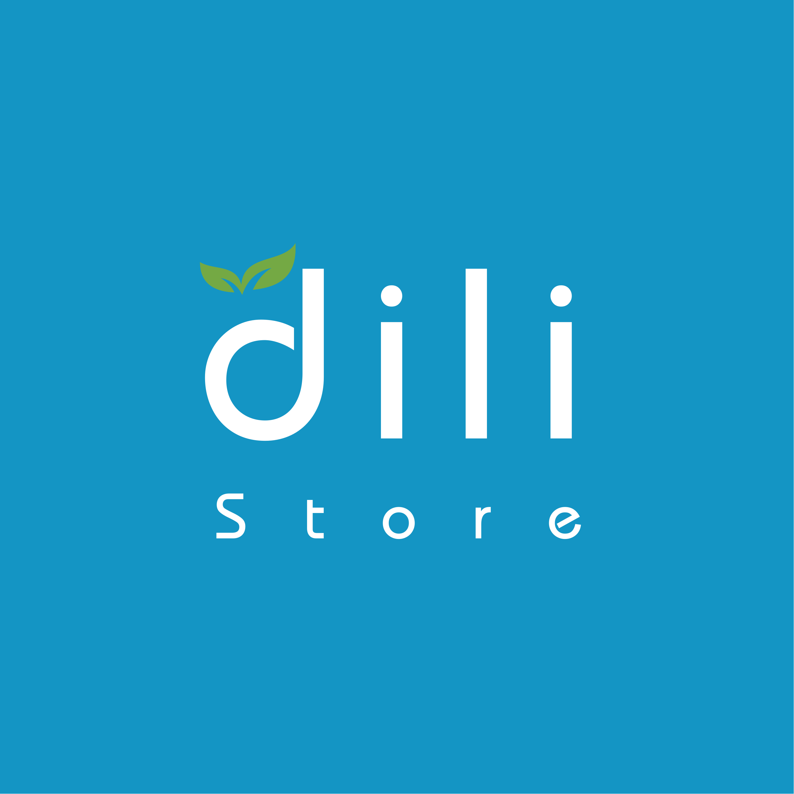 Dili Store app icon